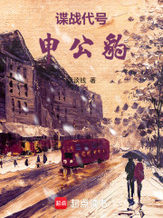 谍战代号:申公豹
